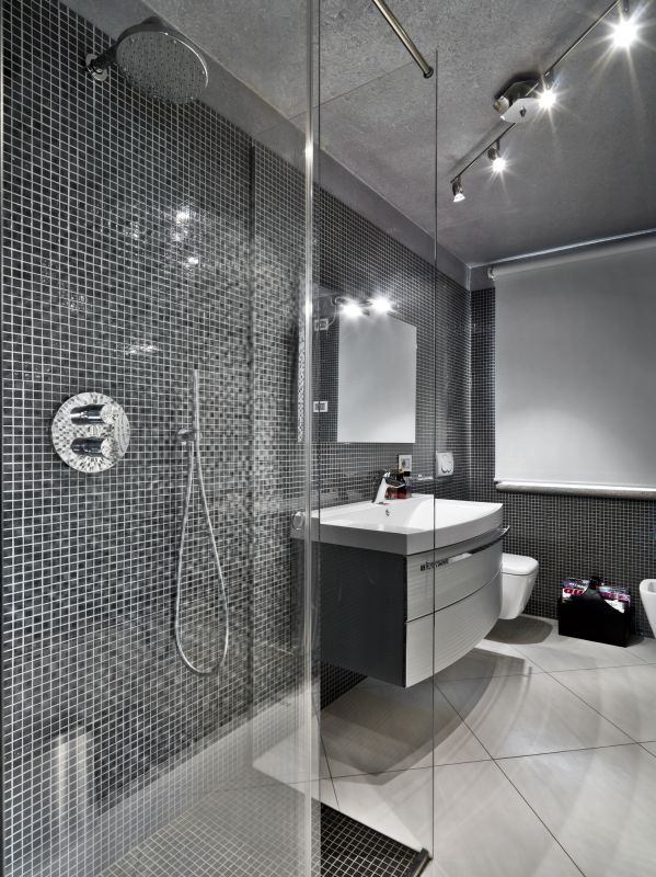 Elegant Glass Showers